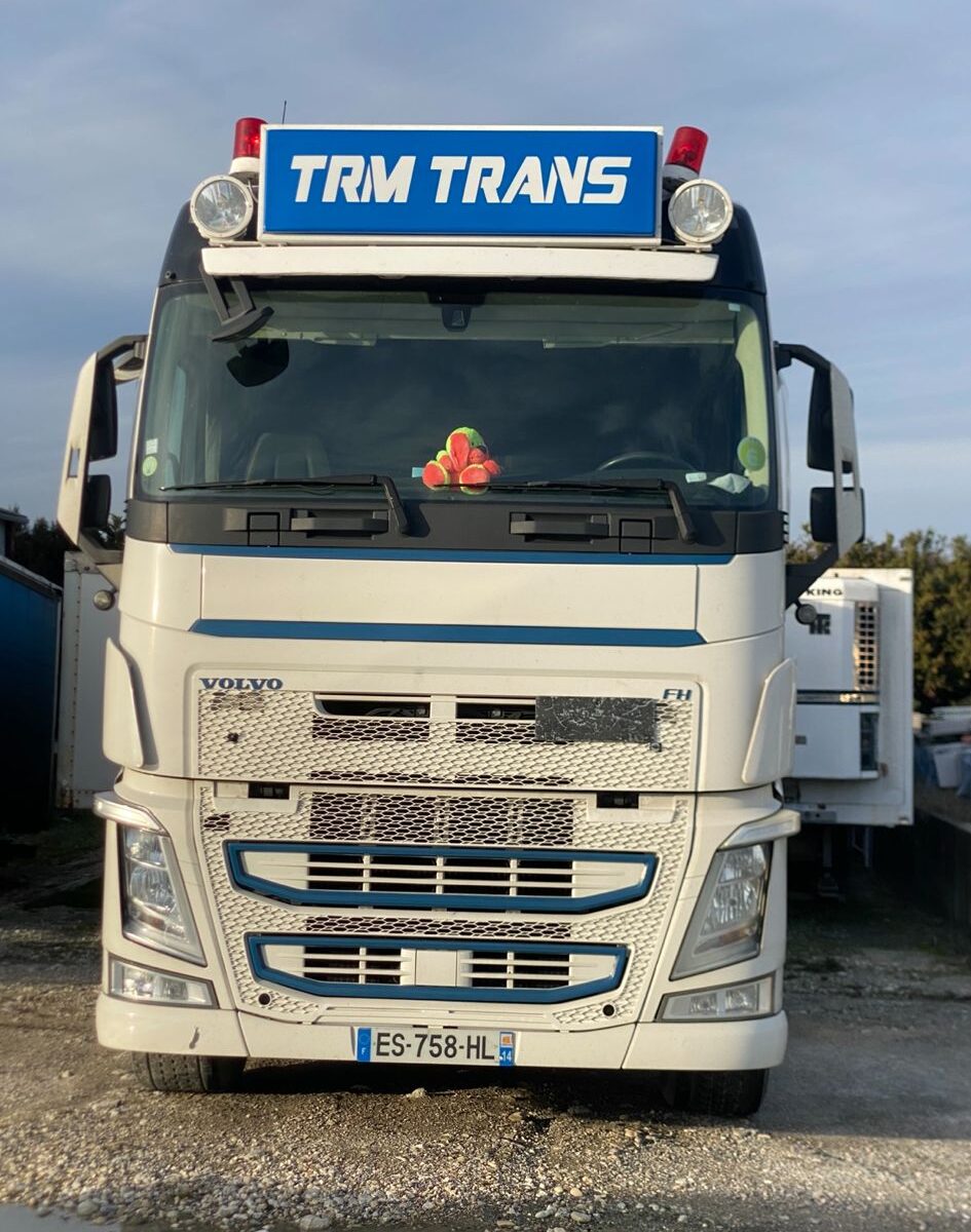 trm transport livre marchandise lyon marseille